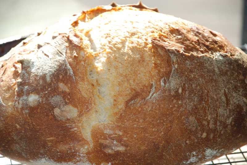 White Rye Leaven Bread The Fresh Loaf